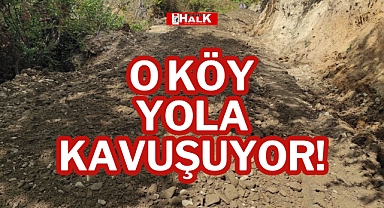 O KÖY YOLA KAVUŞUYOR!