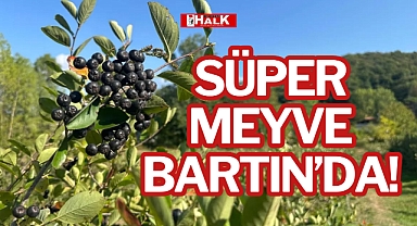 SÜPER MEYVE BARTIN'DA!