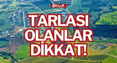 TARLASI OLANLAR DİKKAT!