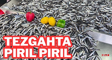 Tezgahta Pırıl Pırıl