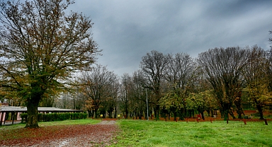 Günübirlik Kullanım Alanı ve  Kapı Girişi  İşletmeciliği İşi İhale İlanı