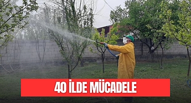 40 İLDE MÜCADELE