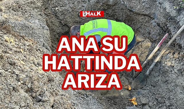 ANA SU HATTINDA ARIZA