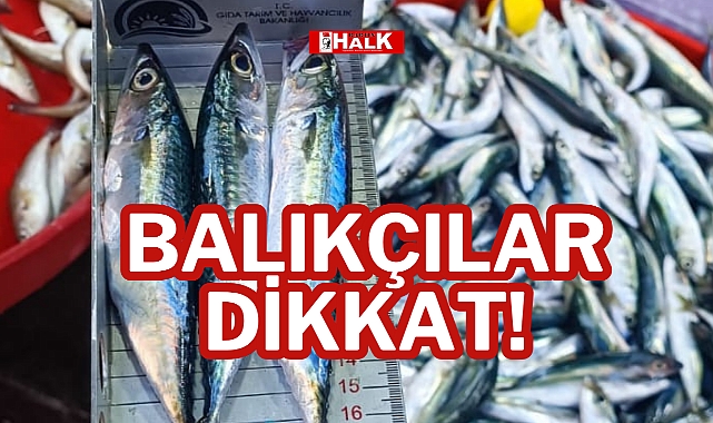 BALIKÇILAR DİKKAT!