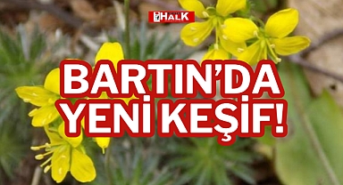 BARTIN’DA YENİ KEŞİF!