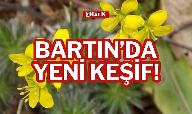 BARTIN’DA YENİ KEŞİF!