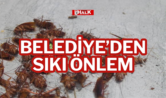 BELEDİYE'DEN SIKI ÖNLEM