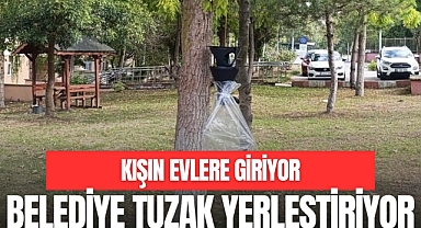 BELEDİYE TUZAK YERLEŞTİRİYOR