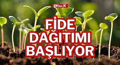FİDE DAĞITIMI BAŞLIYOR