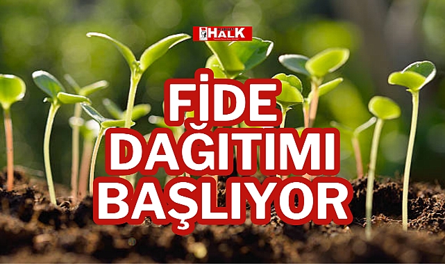 FİDE DAĞITIMI BAŞLIYOR