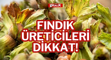 FINDIK ÜRETİCİLERİ DİKKAT!