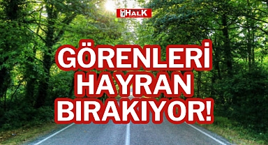GÖRENLERİ HAYRAN BIRAKIYOR