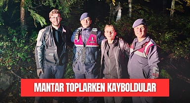 Mantar Toplarken Kayboldular