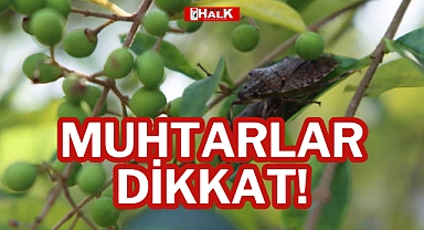 MUHTARLAR DİKKAT!