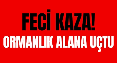 ORMANLIK ALANA UÇTU