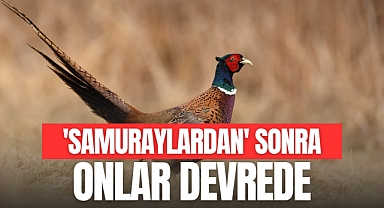 SAMURAYLARDAN SONRA ONLAR DEVREDE