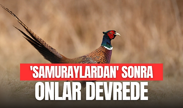 SAMURAYLARDAN SONRA ONLAR DEVREDE