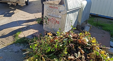 Temizlik Çalışmaları Başladı