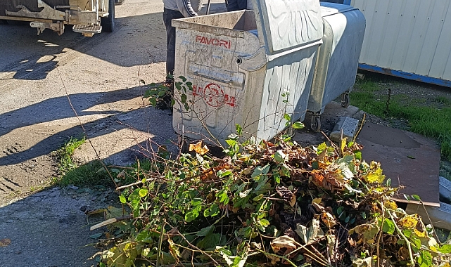 Temizlik Çalışmaları Başladı