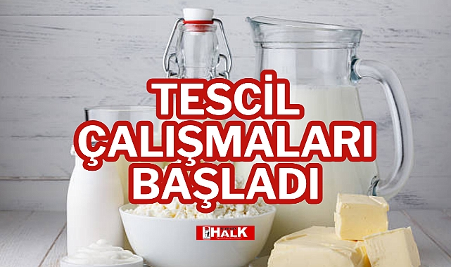 Tescil Çalışmaları Başladı