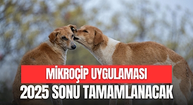UYGULAMA 2025 SONU TAMAMLANACAK