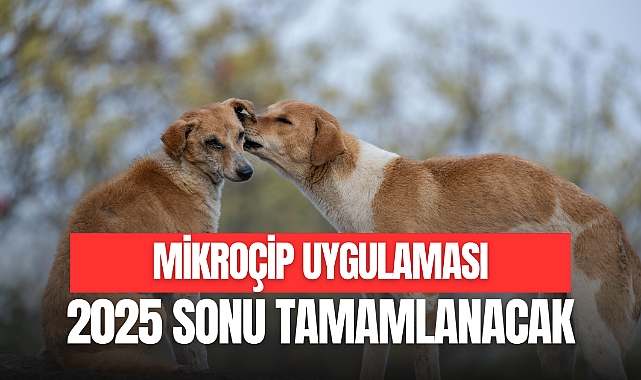UYGULAMA 2025 SONU TAMAMLANACAK