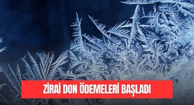 Zirai Don Desteği Ödemeleri Başladı