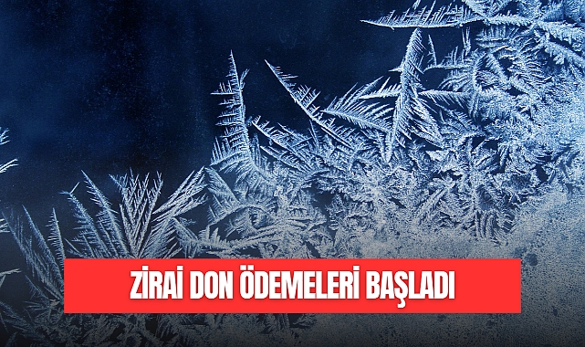 Zirai Don Desteği Ödemeleri Başladı