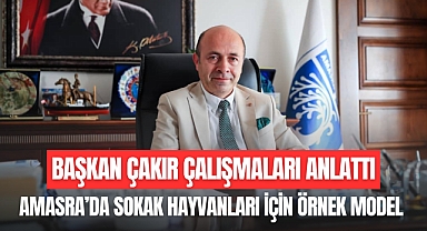 AMASRA’DA SOKAK HAYVANLARI İÇİN ÖRNEK MODEL