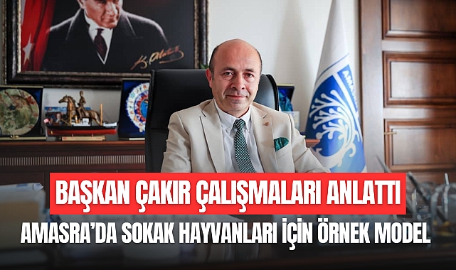 AMASRA’DA SOKAK HAYVANLARI İÇİN ÖRNEK MODEL