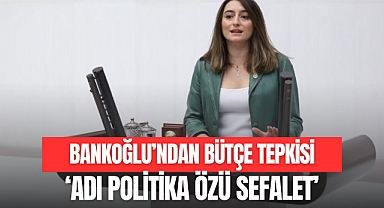 Bankoğlu'ndan Bütçe Tepkisi