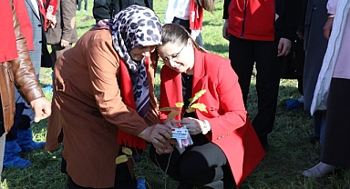 Bartın’da Şehitler İçin Fidan Dikildi