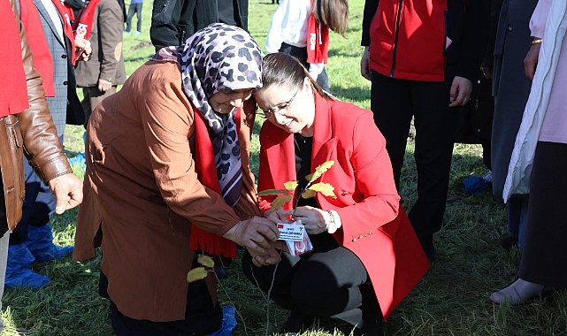 Bartın’da Şehitler İçin Fidan Dikildi