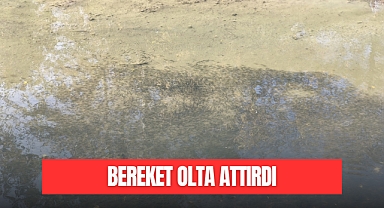 Bereket Olta Attırdı