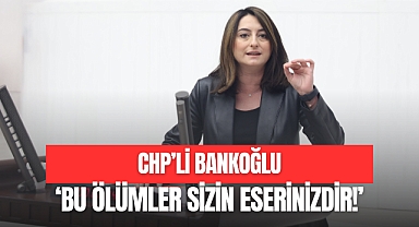 CHP'li Bankoğlu Meclis Kürsüsünden Seslendi