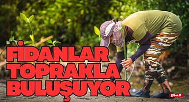 FİDANLAR TOPRAKLA BULUŞUYOR