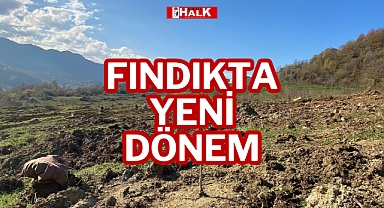 Fındıkta Yeni Dönem