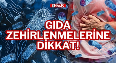 Gıda Zehirlenmelerine Dikkat!