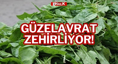 GÜZELAVRAT ZEHİRLİYOR!