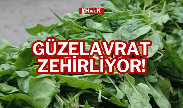 GÜZELAVRAT ZEHİRLİYOR!