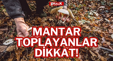 MANTAR TOPLAYANLAR DİKKAT!