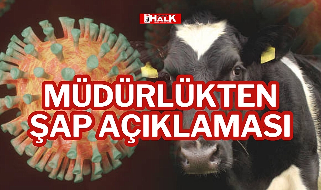 MÜDÜRLÜKTEN ŞAP AÇIKLAMASI