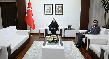 Müfettiş Valilik'te