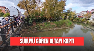 SÜRÜYÜ GÖREN OLTAYI KAPTI