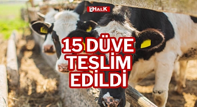 15 DÜVE TESLİM EDİLDİ