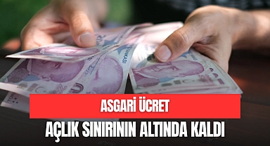ASGARİ ÜCRET AÇLIK SINIRININ ALTINDA