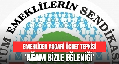ASGARİ ÜCRET İÇİN 'KİBAR FEYZO' GÖNDERMESİ