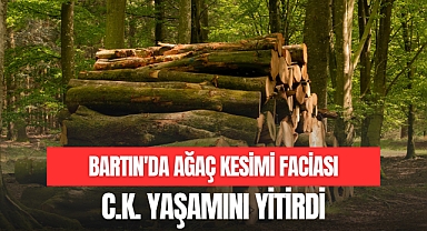 BARTIN'DA AĞAÇ KESİMİ FACİASI