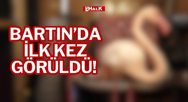 BARTIN’DA İLK KEZ GÖRÜLDÜ!