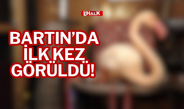 BARTIN’DA İLK KEZ GÖRÜLDÜ! 